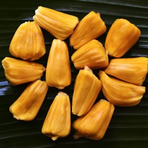 501 kg Jackfruit Seva