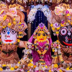 Day 5: Nitya Puja Seva