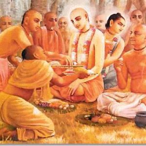 Gaudiya Sannyasis & Sadhu Prasadam Seva
